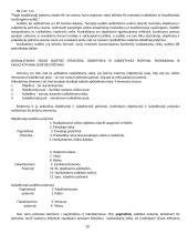 Baudžiamosios teisės (BT) konspektas 9 puslapis