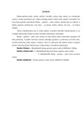 Išlaidų-apimties-pelno analizė, reikšmė ir tikslai 2 puslapis