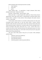 Išlaidų-apimties-pelno analizė, reikšmė ir tikslai 4 puslapis