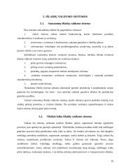 Išlaidų-apimties-pelno analizė, reikšmė ir tikslai 10 puslapis