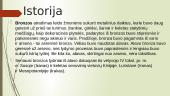 Bronza - skaidrės 7 puslapis