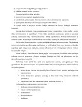 Verslo sėkmė ir vadovo svarba 3 puslapis