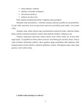 Verslo sėkmė ir vadovo svarba 4 puslapis