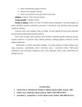 Verslo sėkmė ir vadovo svarba 7 puslapis