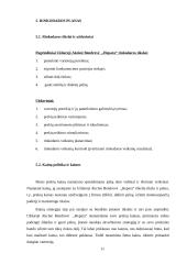 Įmonės UAB ,,Hepara‘‘ verslo planas 11 puslapis