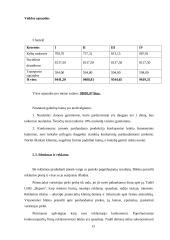 Įmonės UAB ,,Hepara‘‘ verslo planas 13 puslapis