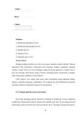 Įmonės UAB ,,Hepara‘‘ verslo planas 16 puslapis