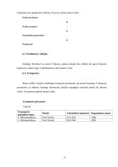 Įmonės UAB ,,Hepara‘‘ verslo planas 17 puslapis