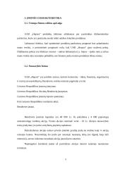 Įmonės UAB ,,Hepara‘‘ verslo planas 5 puslapis