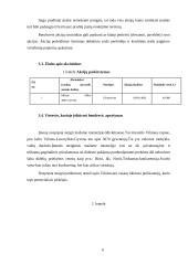 Įmonės UAB ,,Hepara‘‘ verslo planas 6 puslapis