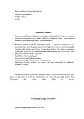 UAB ,, Mano Paryžius” kepyklėlės verslo planas 12 puslapis