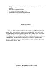 UAB ,, Mano Paryžius” kepyklėlės verslo planas 13 puslapis