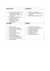 UAB ,, Mano Paryžius” kepyklėlės verslo planas 14 puslapis