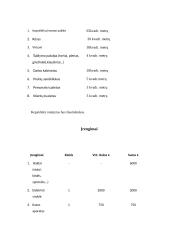 UAB ,, Mano Paryžius” kepyklėlės verslo planas 19 puslapis