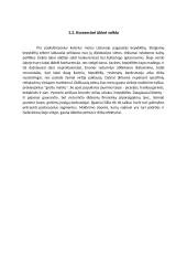 UAB ,, Mano Paryžius” kepyklėlės verslo planas 2 puslapis