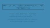 Komunikacija ir informacinė organizacijos sistema 12 puslapis