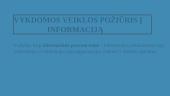 Komunikacija ir informacinė organizacijos sistema 3 puslapis
