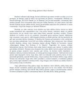 Kokį žmogų galėtume laikyti idealistu?