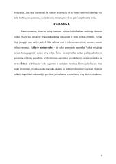 Jonavos vaikų globos namų aplankymas 5 puslapis