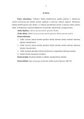 Lietuvos įmonių gamybos išlaidų statistinė analizė  2 puslapis