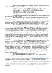 Ką reiškia gražiai kalbėti 11 puslapis