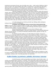 Ką reiškia gražiai kalbėti 8 puslapis