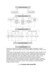 Vadovavimo ir lyderystės įtaka organizacijos valdymui 3 puslapis