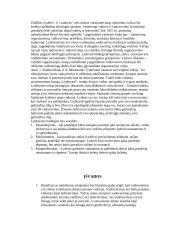 Vadovavimo ir lyderystės įtaka organizacijos valdymui 4 puslapis