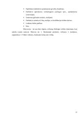 Kailinių žvėrelių verslo organizavimas 13 puslapis