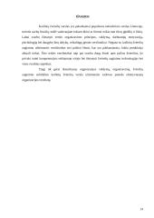 Kailinių žvėrelių verslo organizavimas 14 puslapis