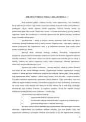 Kailinių žvėrelių verslo organizavimas 4 puslapis