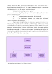 Kailinių žvėrelių verslo organizavimas 5 puslapis