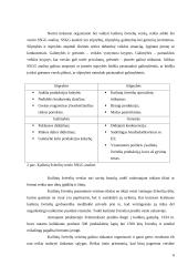 Kailinių žvėrelių verslo organizavimas 6 puslapis