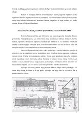 Kailinių žvėrelių verslo organizavimas 7 puslapis