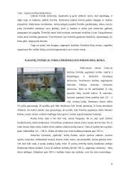 Kailinių žvėrelių verslo organizavimas 8 puslapis