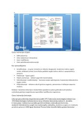 Genų inžinerija (pristatymas) 2 puslapis