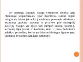 Virginija Henderson slaugos filosofija  2 puslapis