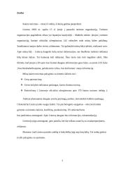 Kaimo turizmo esmė ir augimas 2 puslapis