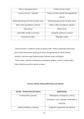 Kaimo turizmo esmė ir augimas 16 puslapis