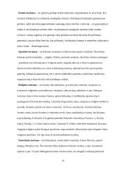 Kaimo turizmo esmė ir augimas 19 puslapis