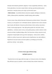 Kaimo turizmo esmė ir augimas 20 puslapis