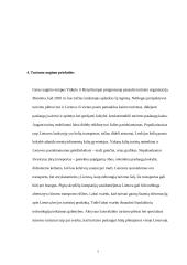 Kaimo turizmo esmė ir augimas 7 puslapis