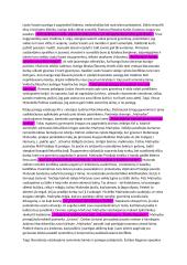 Asmeninės laimės ir pareigos konfliktas literatūroje (kalbėjimas) 2 puslapis