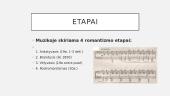 Romantizmo muzika 4 puslapis