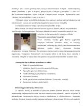 Kaip sustabdyti korupciją? 2 puslapis