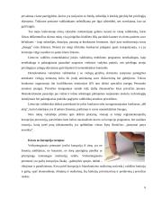 Kaip sustabdyti korupciją? 5 puslapis
