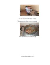 Įdaryti kiaušiniai su krevetėmis šv. Velykų stalui. Technologijų brandos egzamino darbo aprašas 14 puslapis