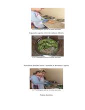 Įdaryti kiaušiniai su krevetėmis šv. Velykų stalui. Technologijų brandos egzamino darbo aprašas 15 puslapis