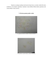 Įdaryti kiaušiniai su krevetėmis šv. Velykų stalui. Technologijų brandos egzamino darbo aprašas 9 puslapis