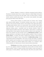 Patirtinio mokymo Lietuvoje ir užsienyje apžvalga